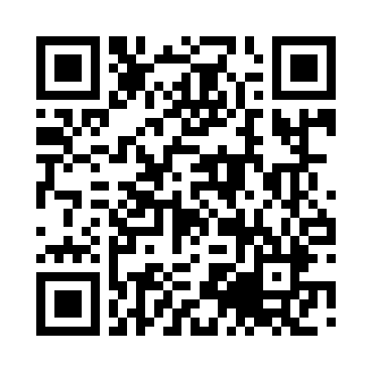 TikTok QR